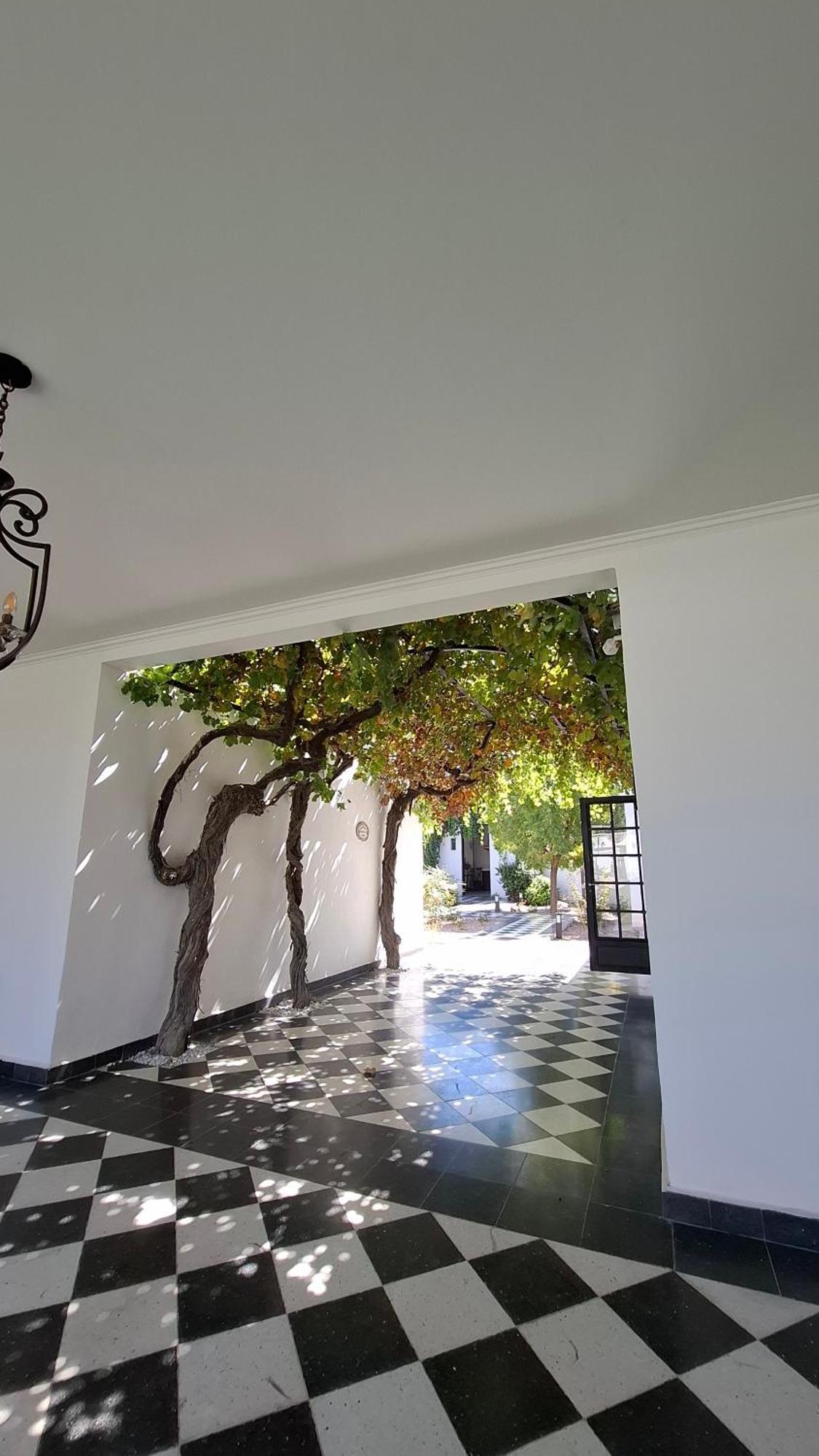 Viamonte Winery Lodge Chacras de Coria Extérieur photo
